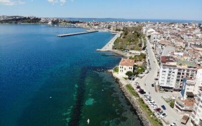 Asistencia Técnica para el Aumento de la Competitividad de los Principales Sectores en Sinop