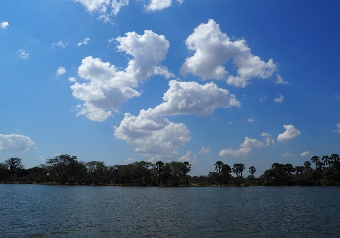 Ficha del proyecto meteosim para Consulted